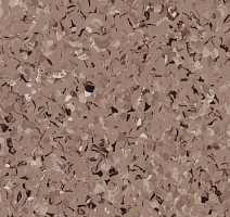 Линолеум Tarkett iq Toro Sc LIGHT BROWN 0574 фото 1 | FLOORDEALER